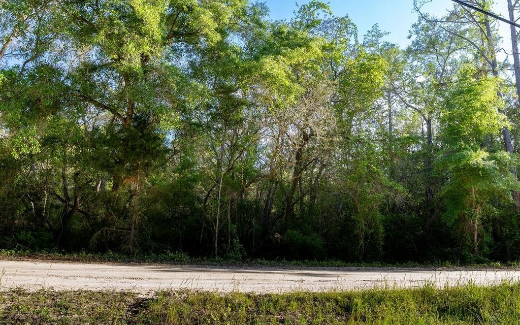 Photo of Lake Maregaret Boulevard, Pomona Park, FL 32181 (MLS # V4948688)