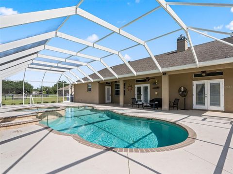 Tiny photo for 2223 Cr 543, Summerville, FL 33585 (MLS # TB8513033)
