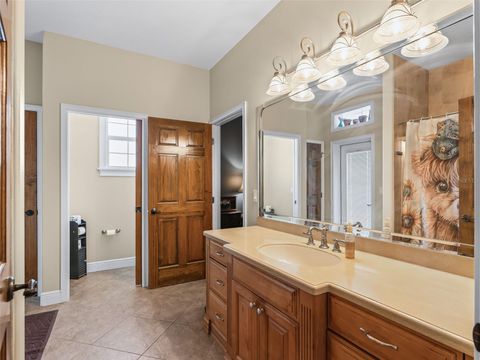 Tiny photo for 2223 Cr 543, Summerville, FL 33585 (MLS # TB8513033)