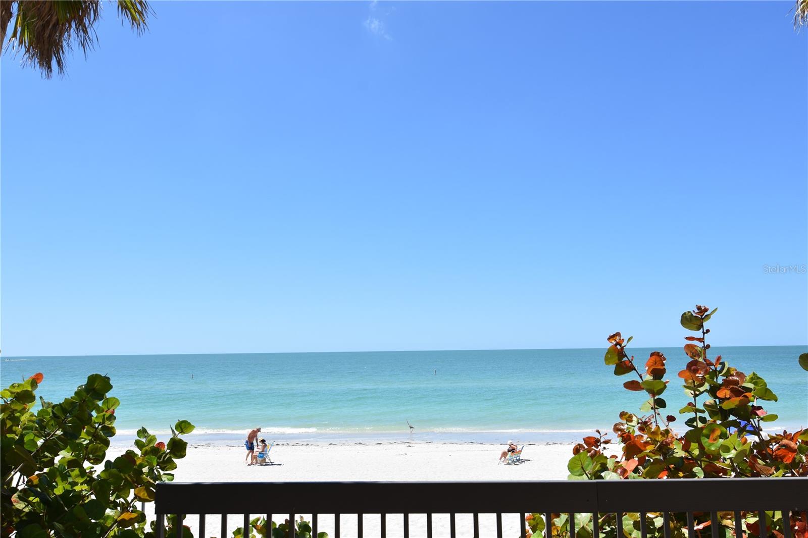 SURFSIDE TOWER CONDO - Residential Lease