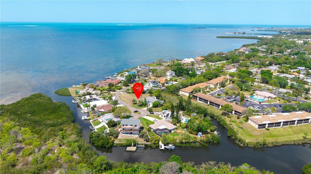 Photo of 1121 S Florida Avenue, Tarpon Springs, FL 34689 (MLS # TB8493125)