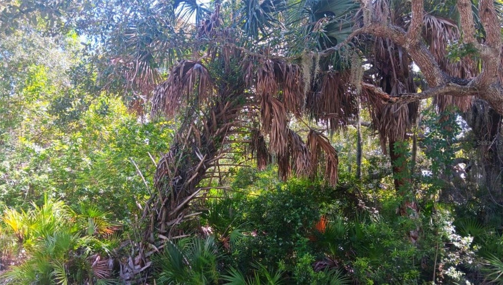 Photo of 3526 Mentone Street, Port Charlotte, FL 33980 (MLS # O6439511)