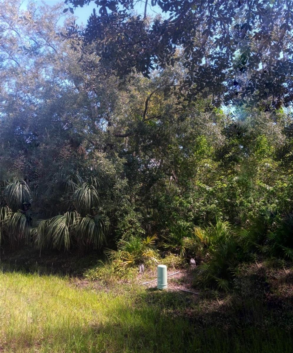 Photo of 3526 Mentone Street, Port Charlotte, FL 33980 (MLS # O6439511)