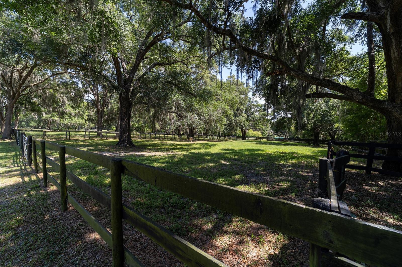 SWEETWATER FARM - Farm