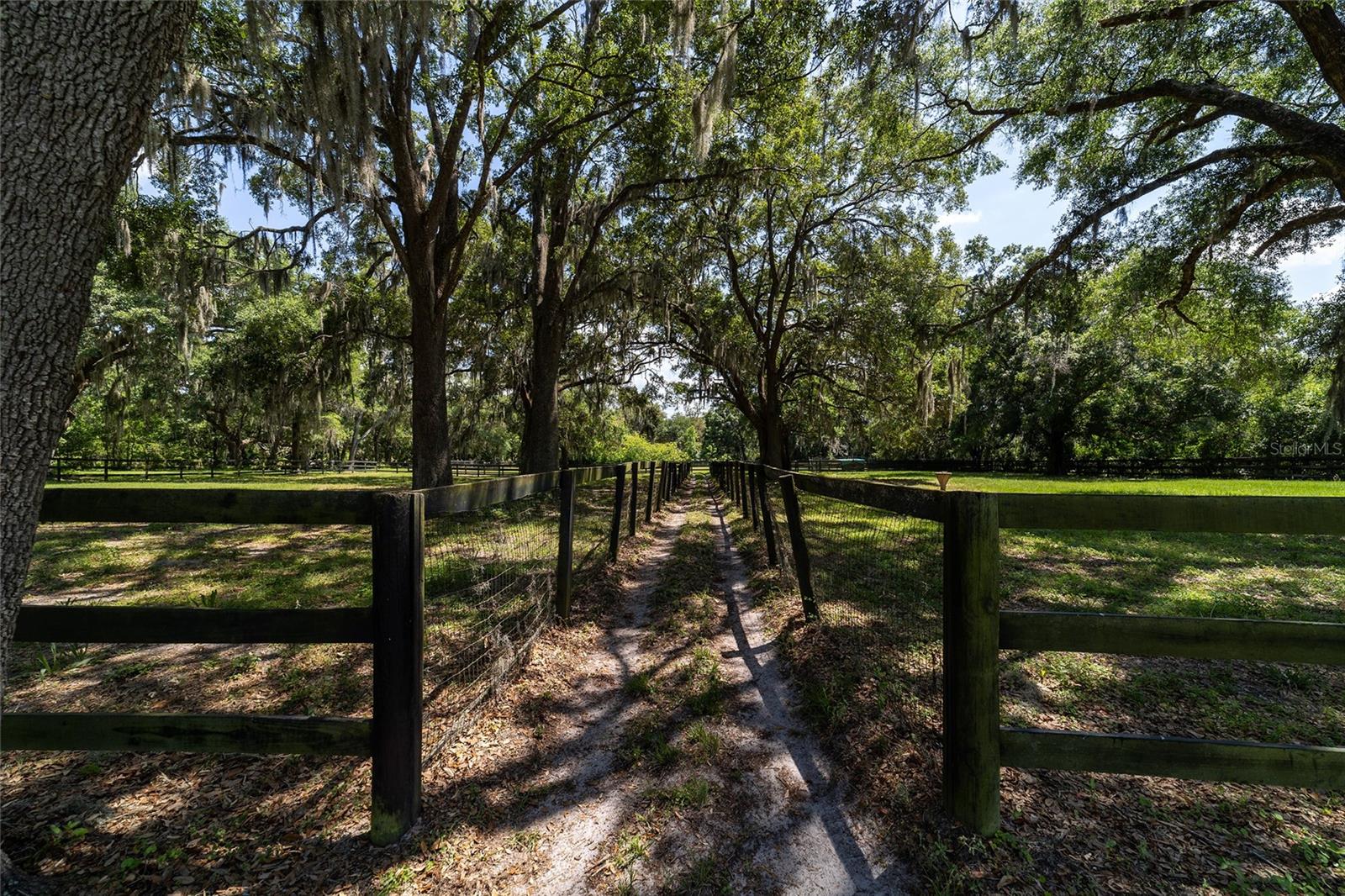 SWEETWATER FARM - Farm