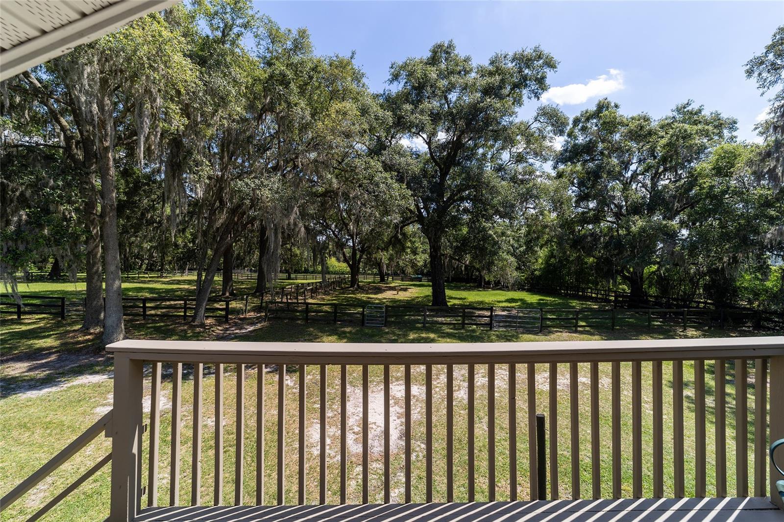 SWEETWATER FARM - Farm