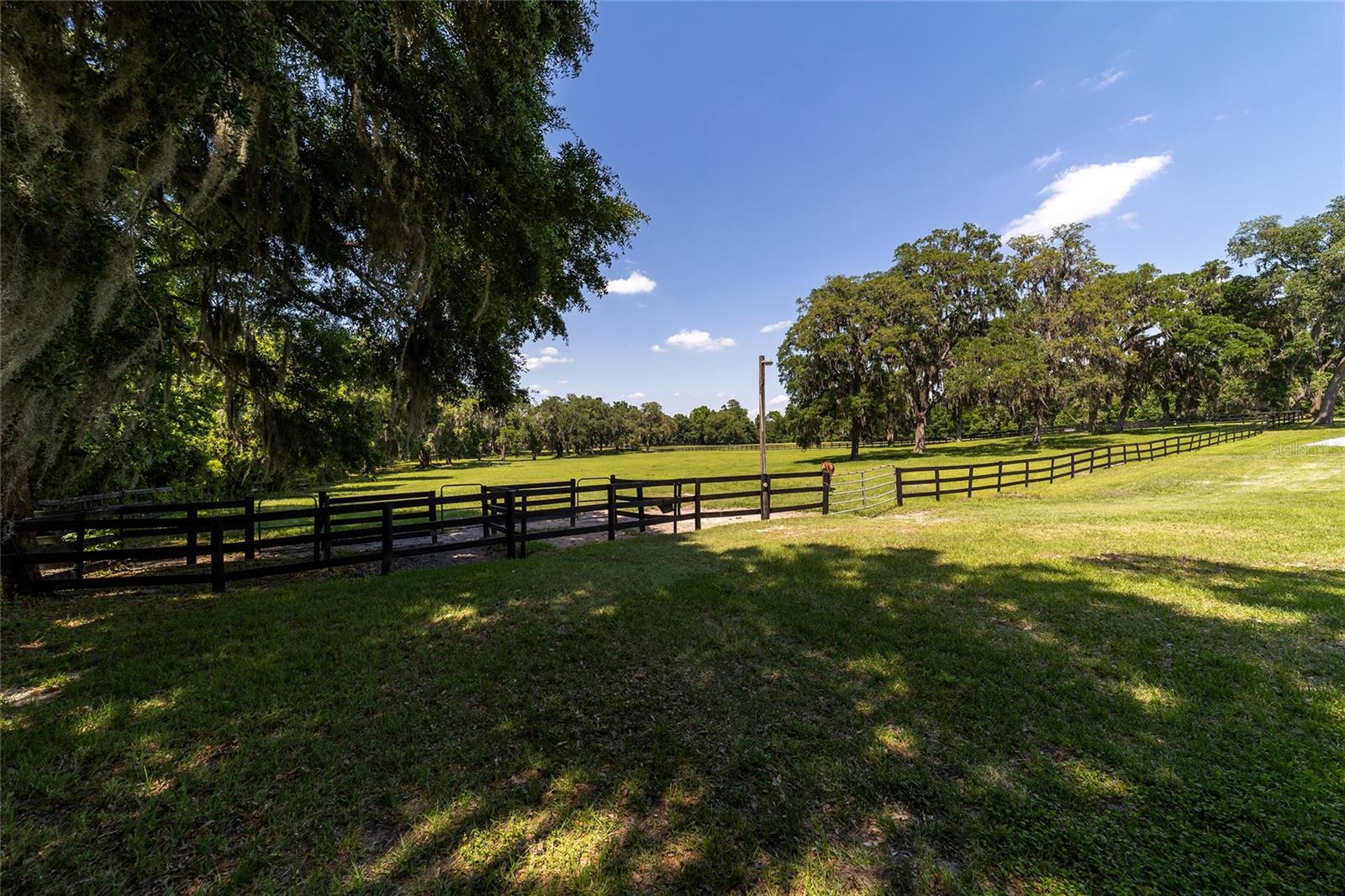 SWEETWATER FARM - Farm