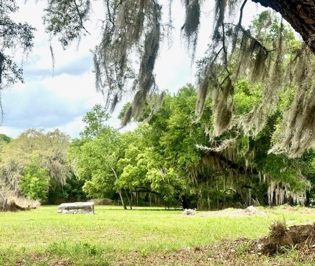 Photo of 1031 Orange Boulevard, Polk City, FL 33868 (MLS # B4902234)