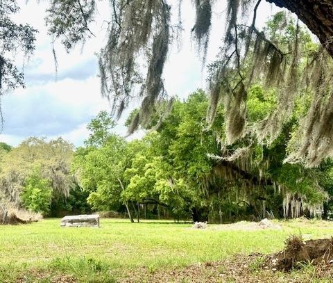 Photo of 1031 Orange Boulevard, Polk City, FL 33868 (MLS # B4902234)