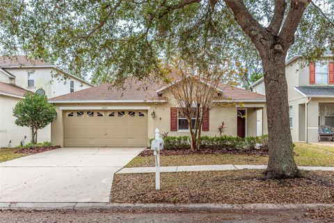 A home in RIVERVIEW