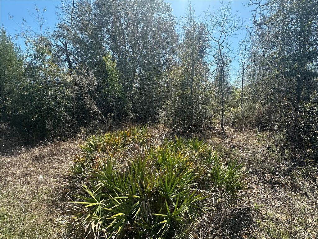 Photo of NE 66th Lane, Bronson, FL 32621 (MLS # OM720617)