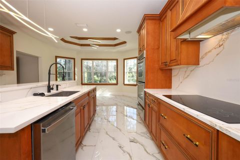 Tiny photo for 27012 Grand Oak Lane, Tavares, FL 32778 (MLS # O6360186)