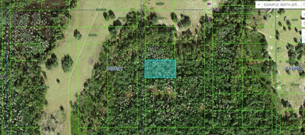 Photo of Commanwealth Ave N, Polk City, FL 33868 (MLS # O6264401)