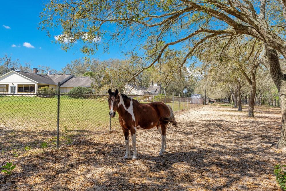 HIGHLANDS NORTH - Land