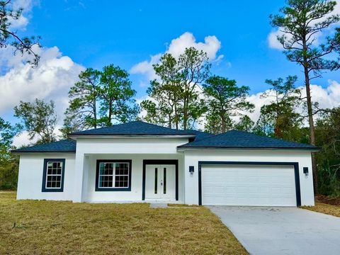 A home in CITRUS SPRINGS