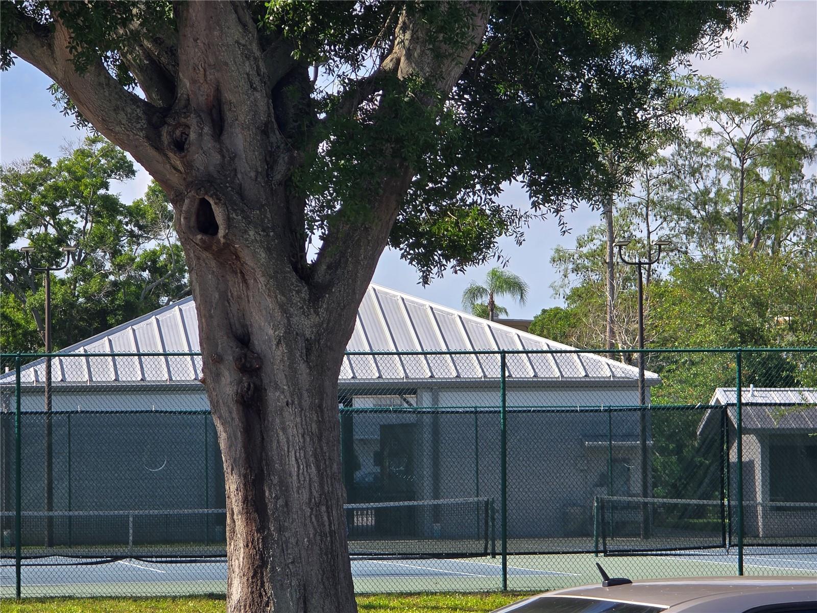 ON TOP OF THE WORLD - Residential