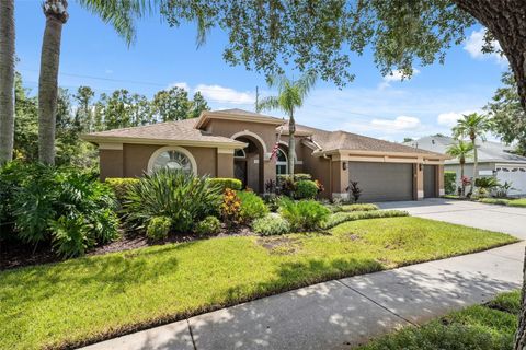 A home in TAMPA