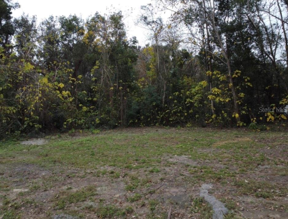 Prime Open Builder Lot in Ocala – Ideal Location for Owner-Builders or Investors! Located in the heart of Ocala, this exceptional open builder lot offers unmatched convenience and privacy. Just 15 minutes from the renowned World Equestrian Center (Circled in the pictures), and less than 10 minutes to major distribution hubs like Chewy, FedEx, and Amazon (Circled in the pictures), it’s an ideal spot for both personal projects and investment ventures. The lot is nestled at the end of a peaceful dead-end street, ensuring privacy and no through traffic. It’s easily accessible via a paved road, and utilities, including water and electricity, are already available for hookup, making it ready to build. Whether you're an owner-builder looking for a secluded location or an investor seeking to capitalize on a high-demand area, this lot offers incredible potential. Don't wait—call today before this prime property is gone!