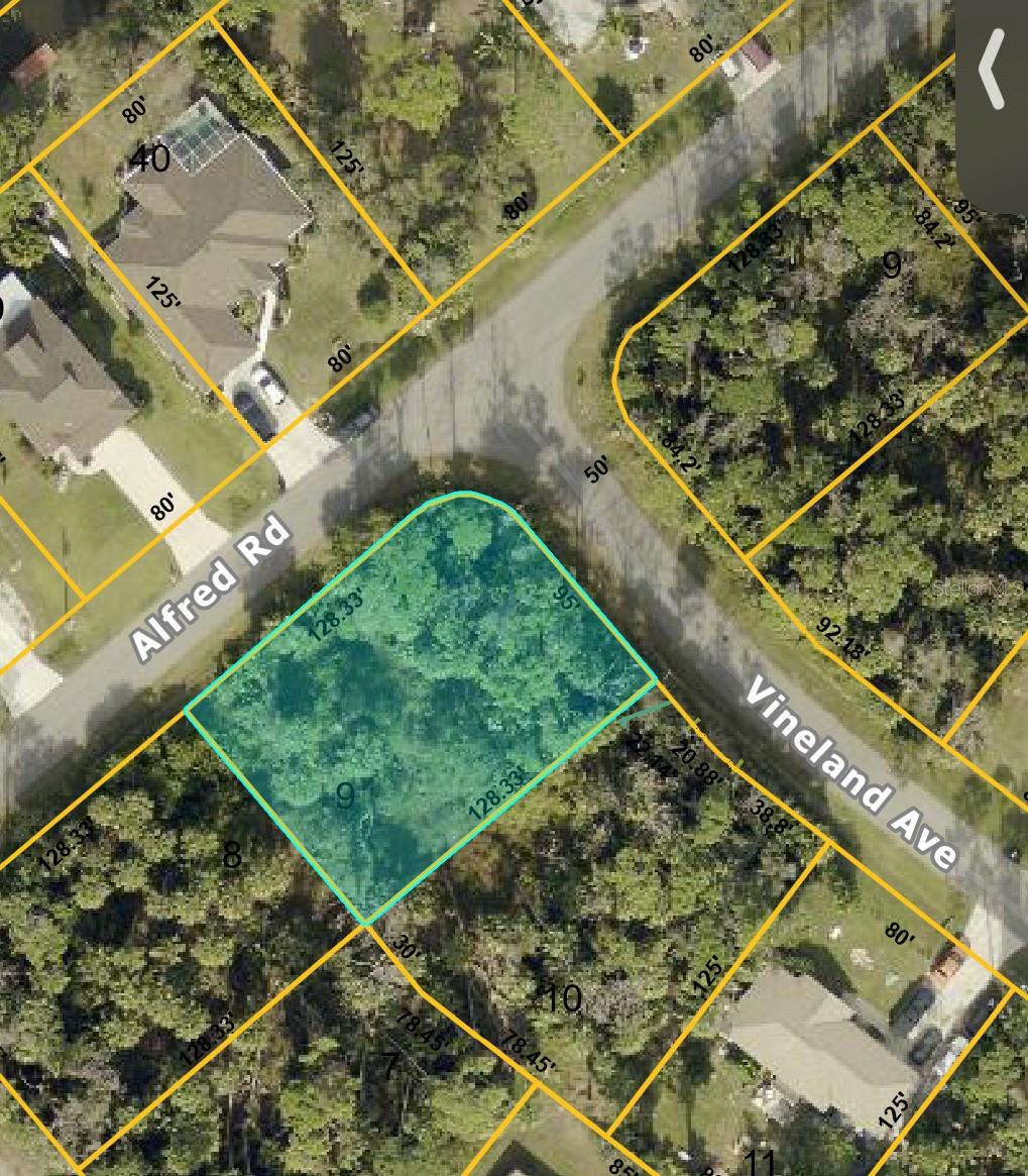 OVERSIZED CORNER LOT! NO HOA! NO scrub jays NO gopher turtles.The lot to the left is also available (another .28) for purchase making it over half an acre in the heart of one of the fastest growing cities in America. Come and build your dream home!