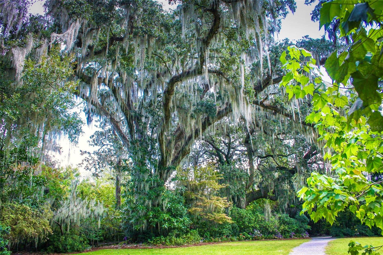 BRILEY FARM PH 1A - Residential