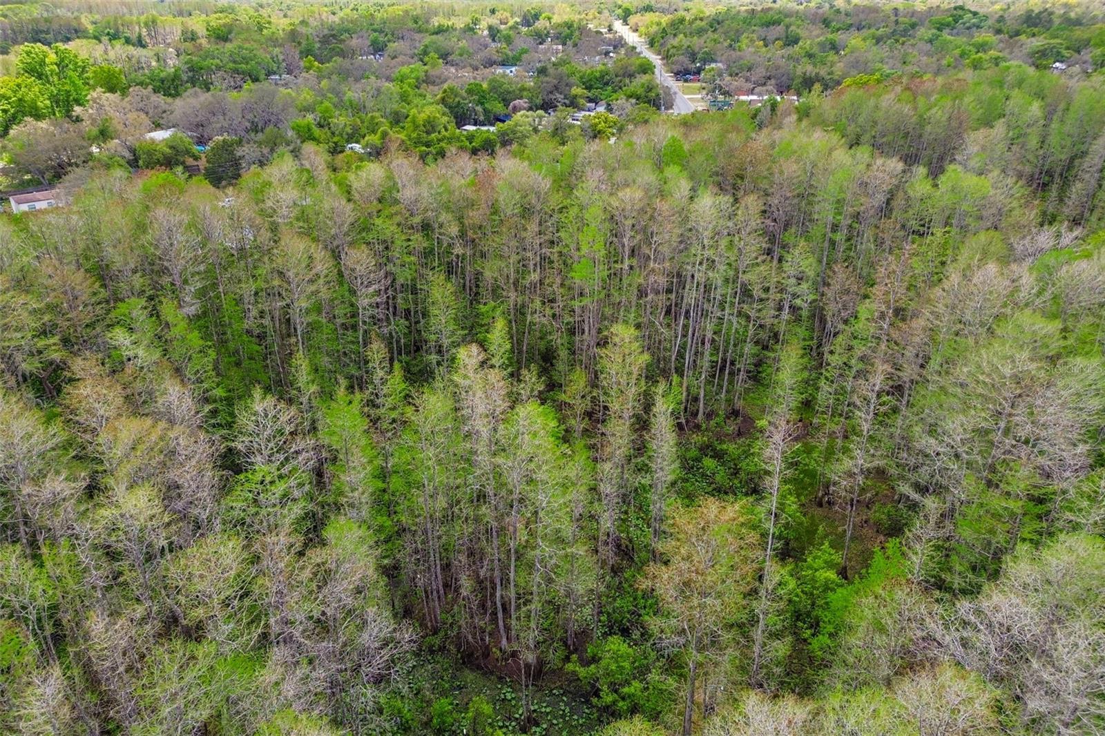 MOON LAKE ESTATES - Residential