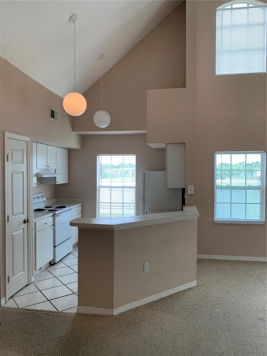 LAKE CHASE CONDO - Residential