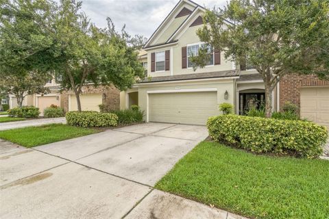 A home in RIVERVIEW