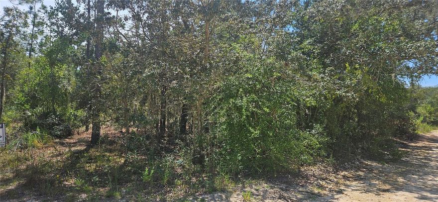 Nice buildable lot close to Highway 27 North/South. Perfect for mobile, modular, or single-family homes. Low Levy County Taxes. Don't delay, buy it today. Sign on property.