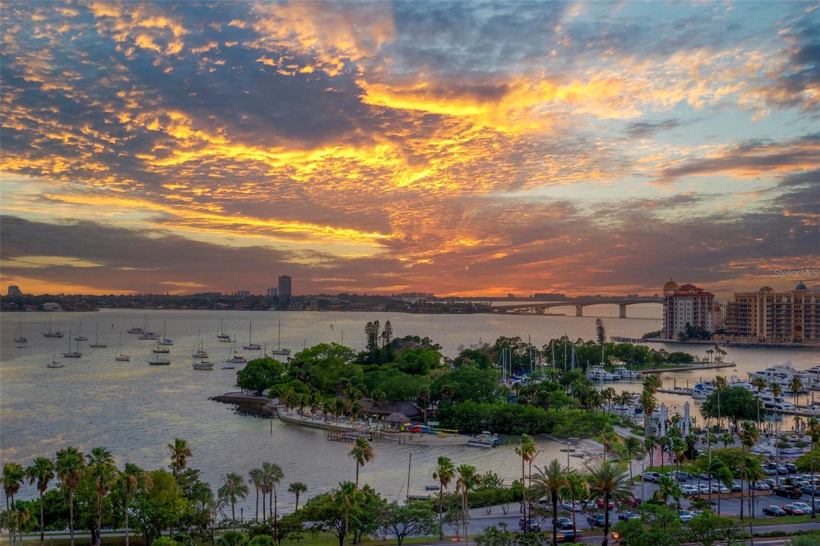 THE SAVOY ON PALM - Residential