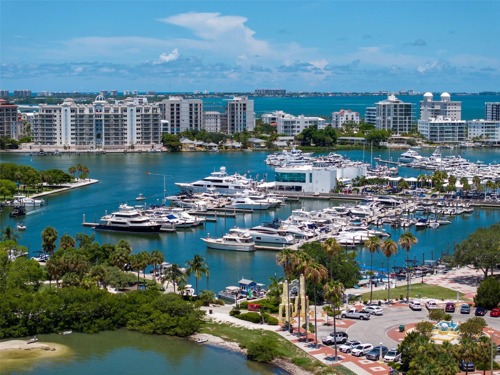 THE SAVOY ON PALM - Residential