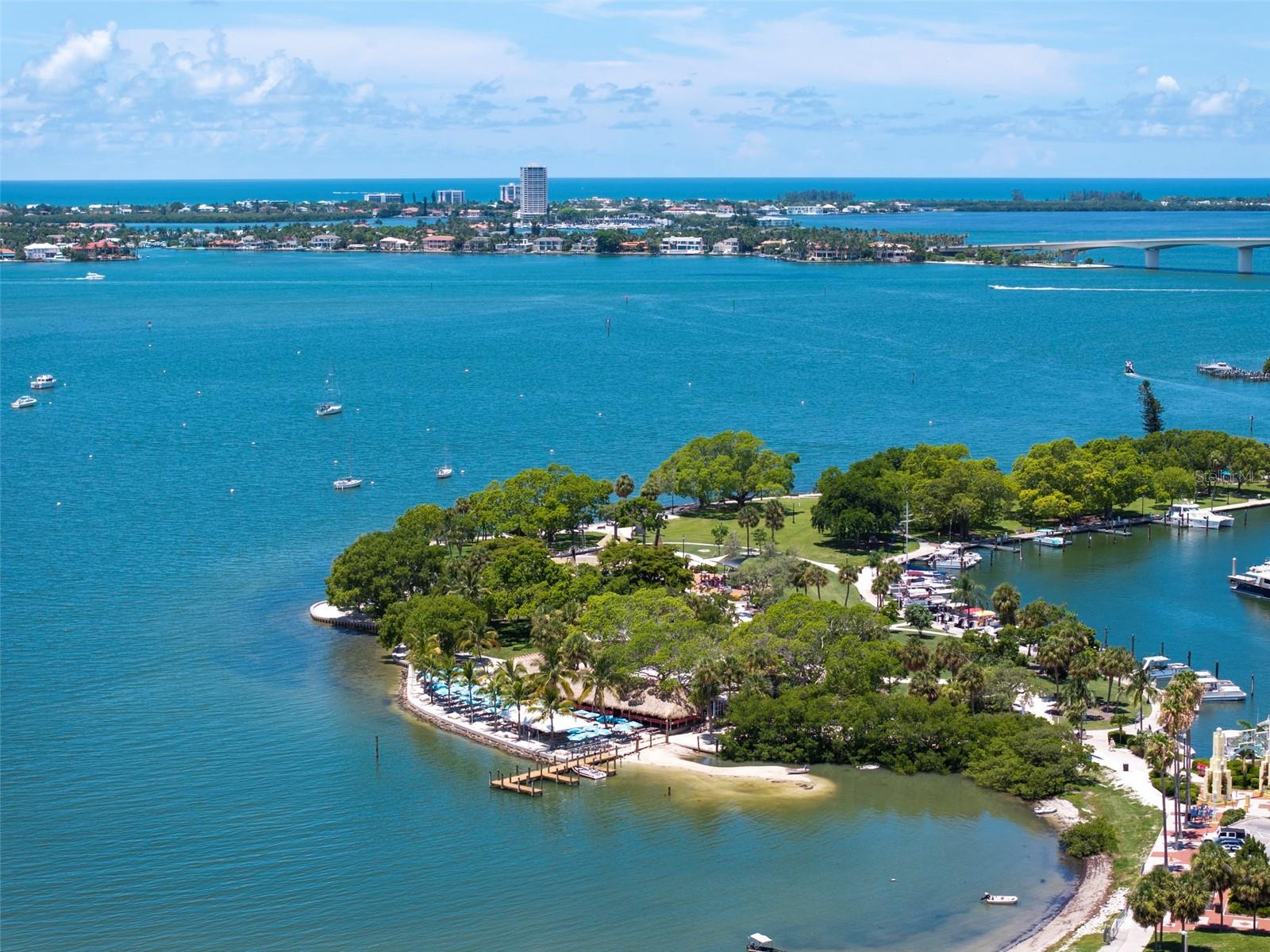 THE SAVOY ON PALM - Residential