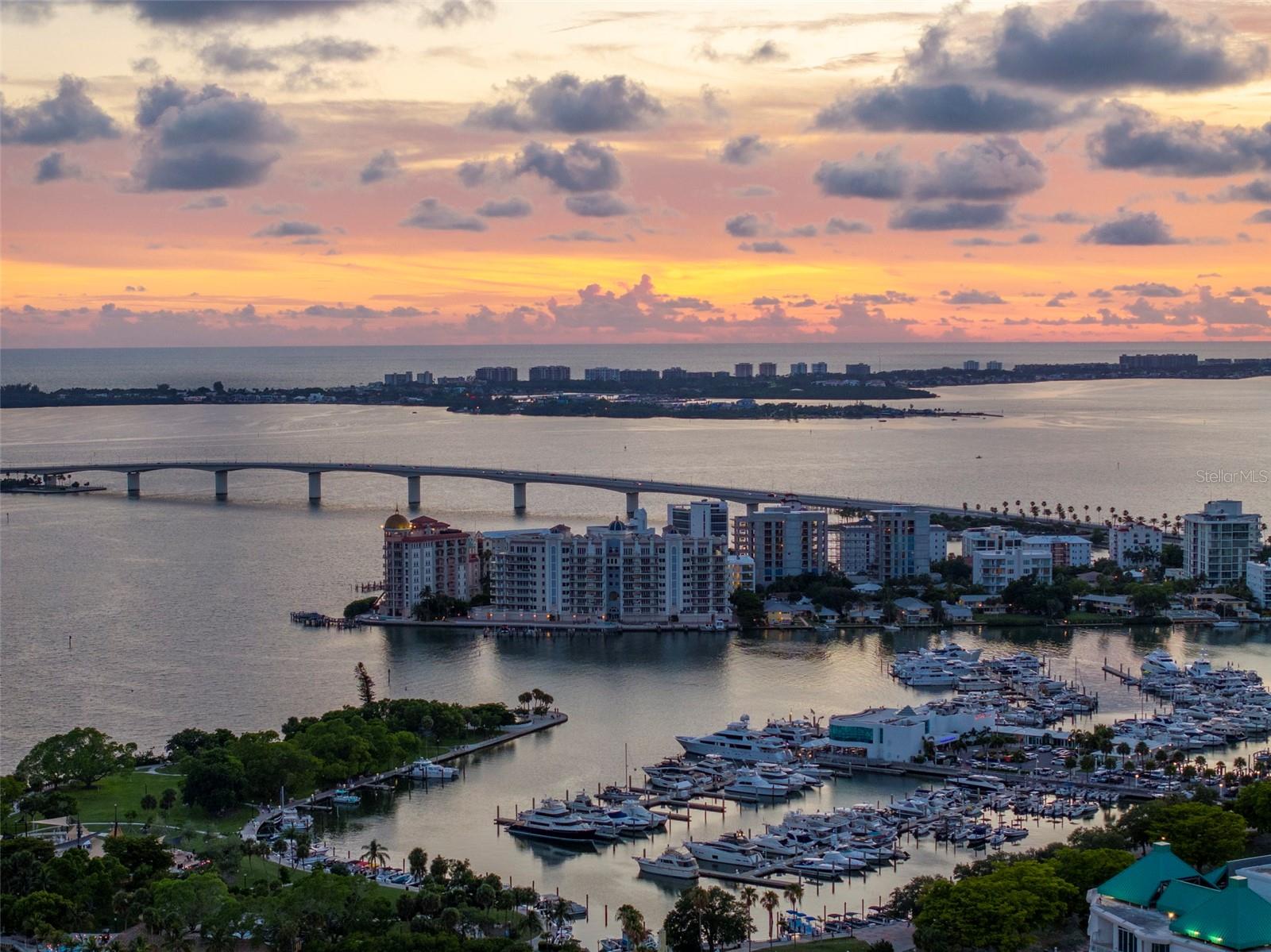 THE SAVOY ON PALM - Residential