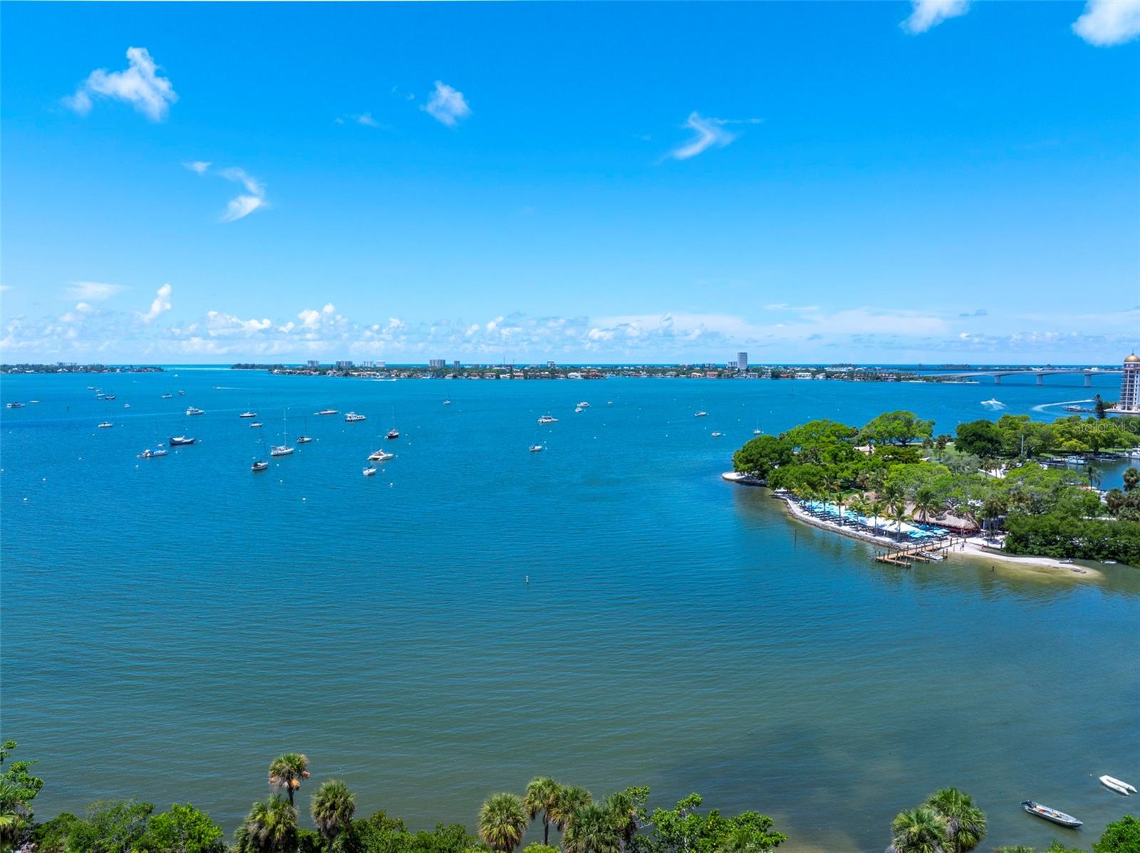 THE SAVOY ON PALM - Residential