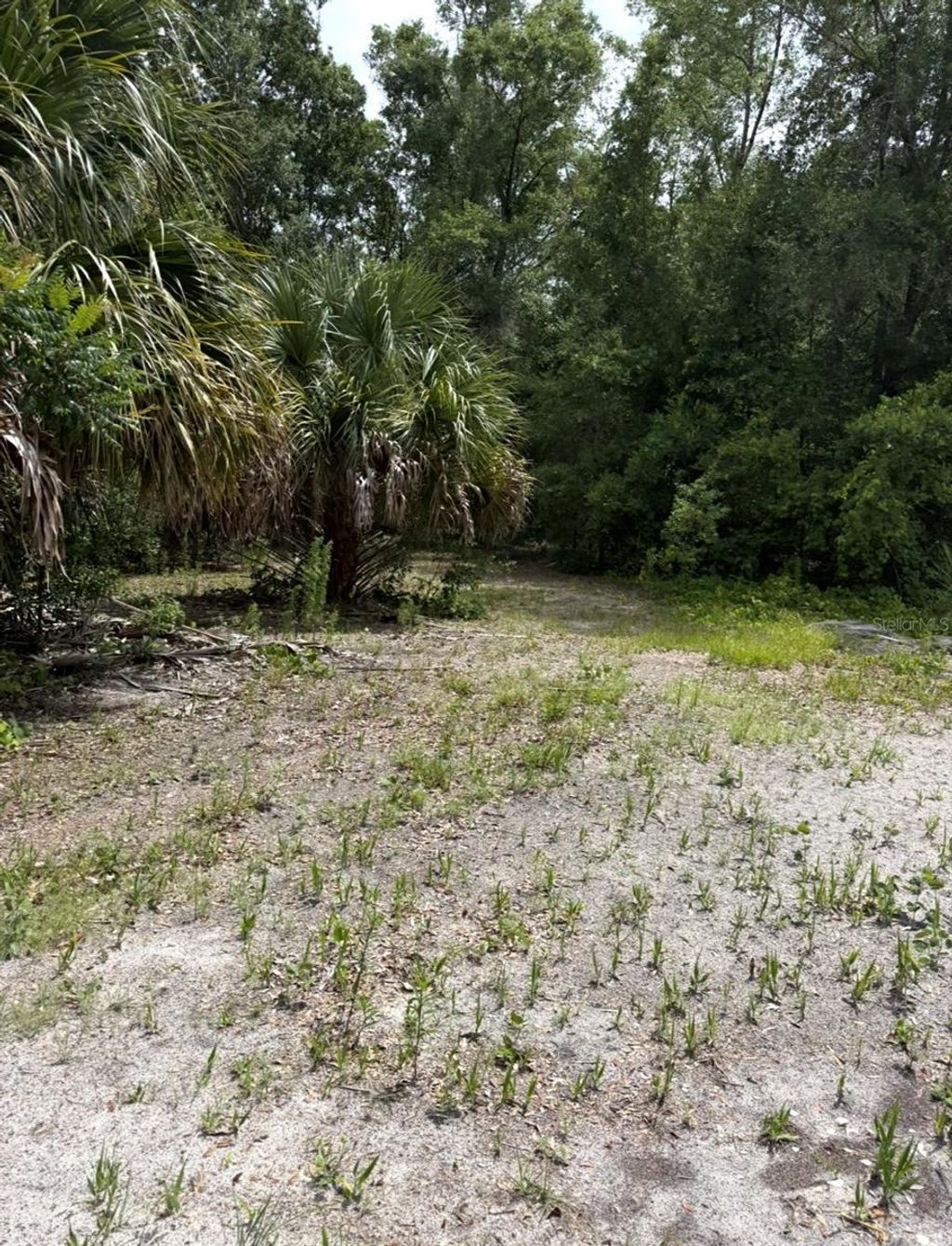 Photo of Tbd NW 27th Place, Chiefland, FL 32626 (MLS # R4910383)