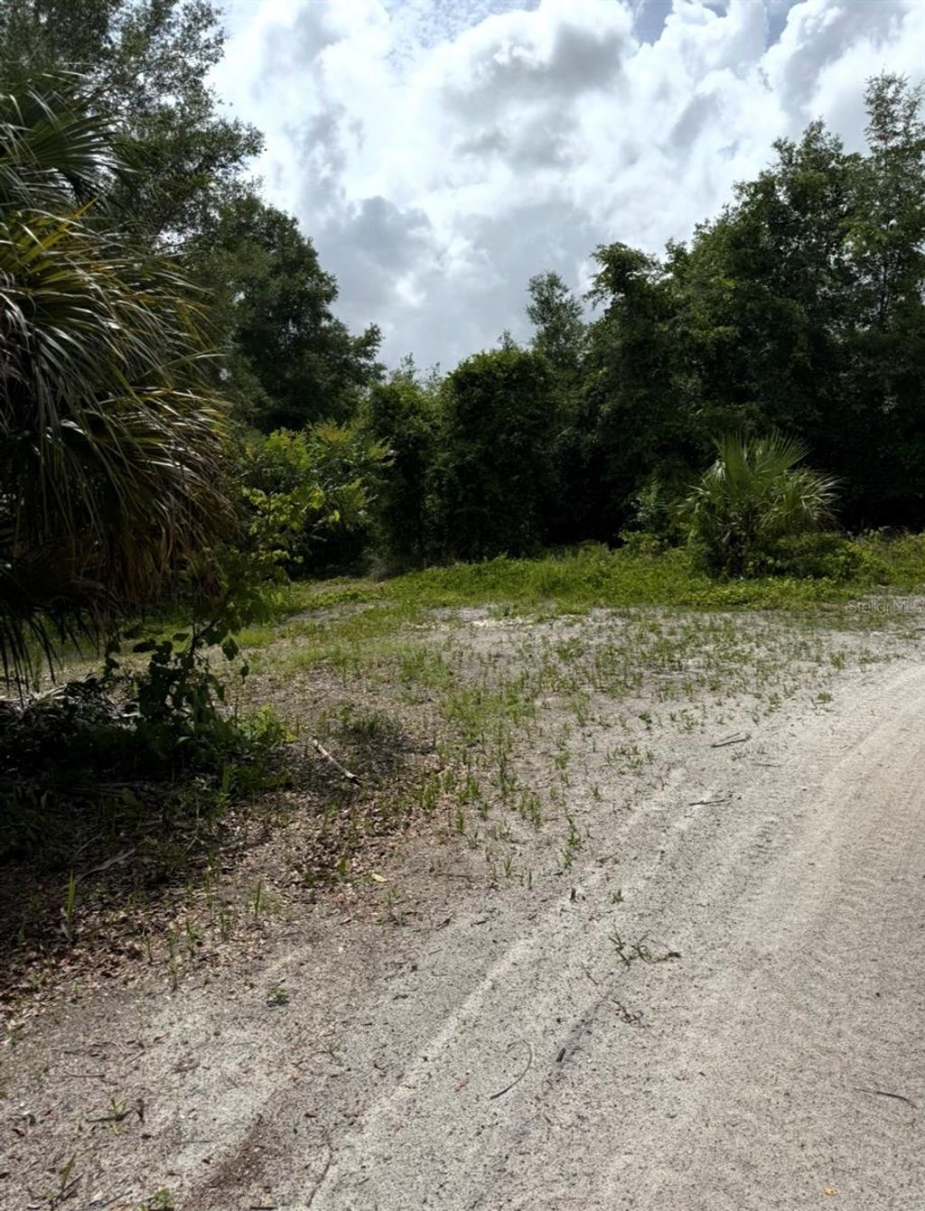 Photo of Tbd NW 27th Place, Chiefland, FL 32626 (MLS # R4910383)