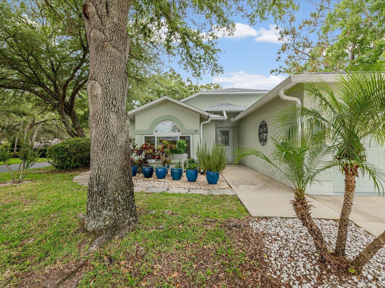 HUNT RIDGE - Residential