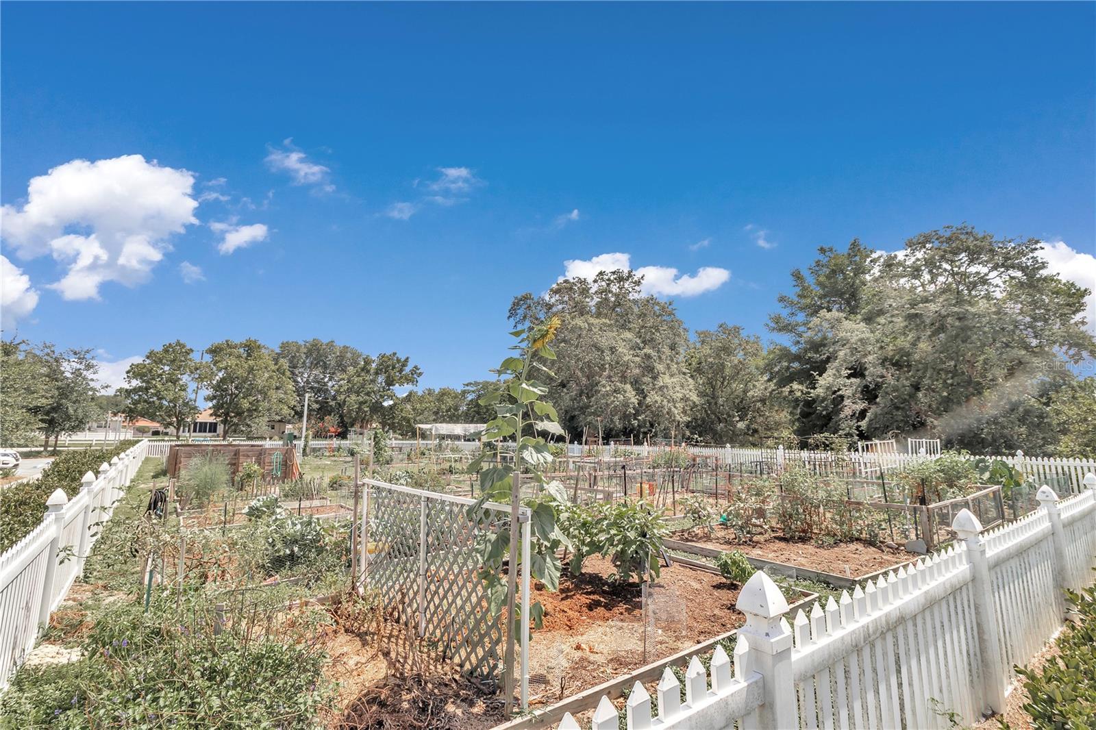 CIRCLE SQUARE WOODS Y - Residential
