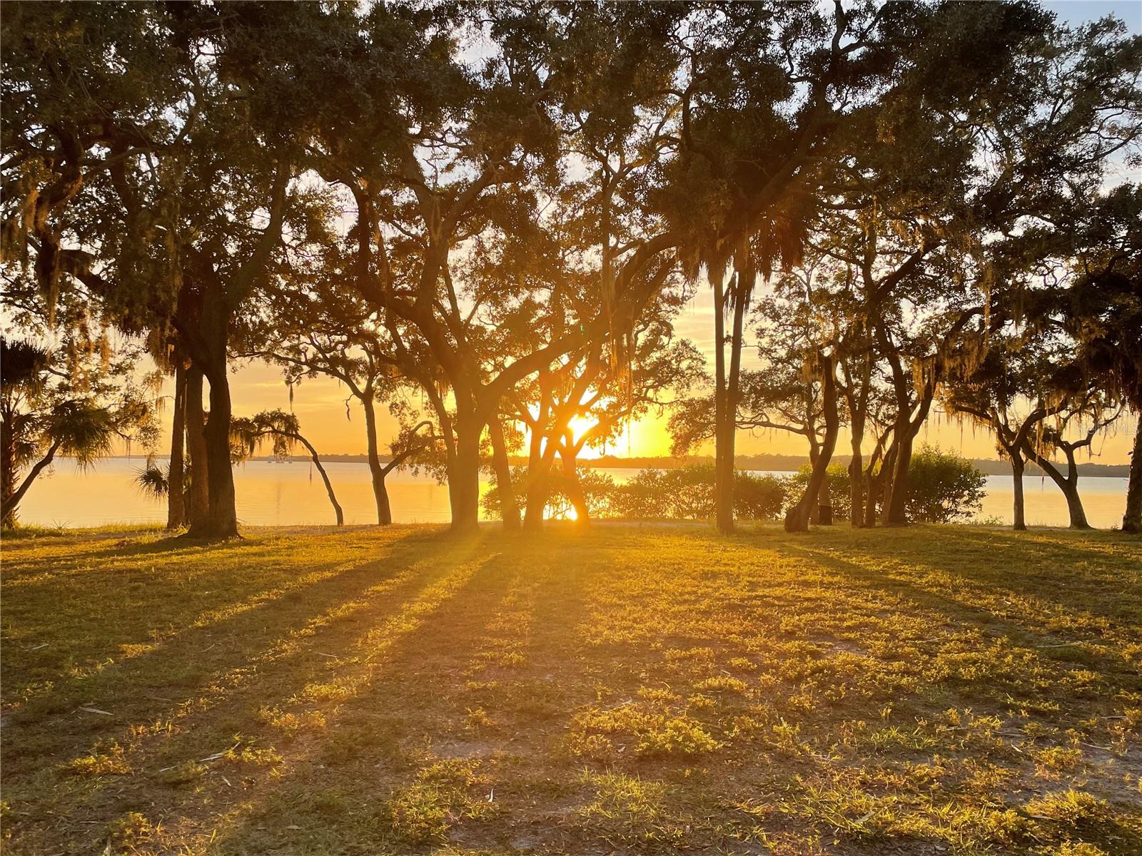 OLDSMAR COUNTRY CLUB ESTATES SEC 1 - Residential