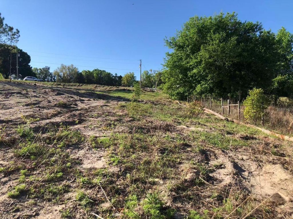 Photo of Windy Hill Drive, Eustis, FL 32726 (MLS # O6388634)