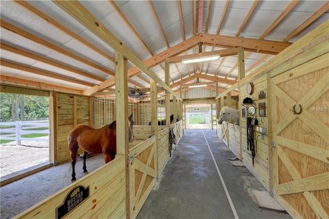 A home in TARPON SPRINGS