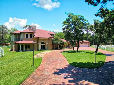 A home in TARPON SPRINGS