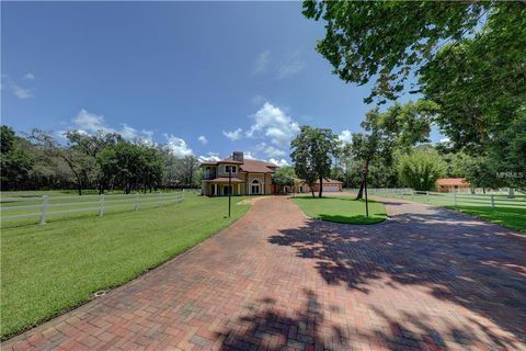 A home in TARPON SPRINGS