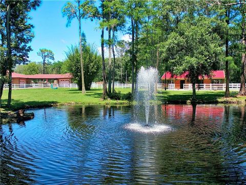 A home in TARPON SPRINGS