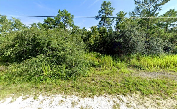 7301 BAHAMA SWALLOW AVE, BROOKSVILLE, FL 34613 - Image 61d4e947732705a3629b3bf9d28b41af/2914084764