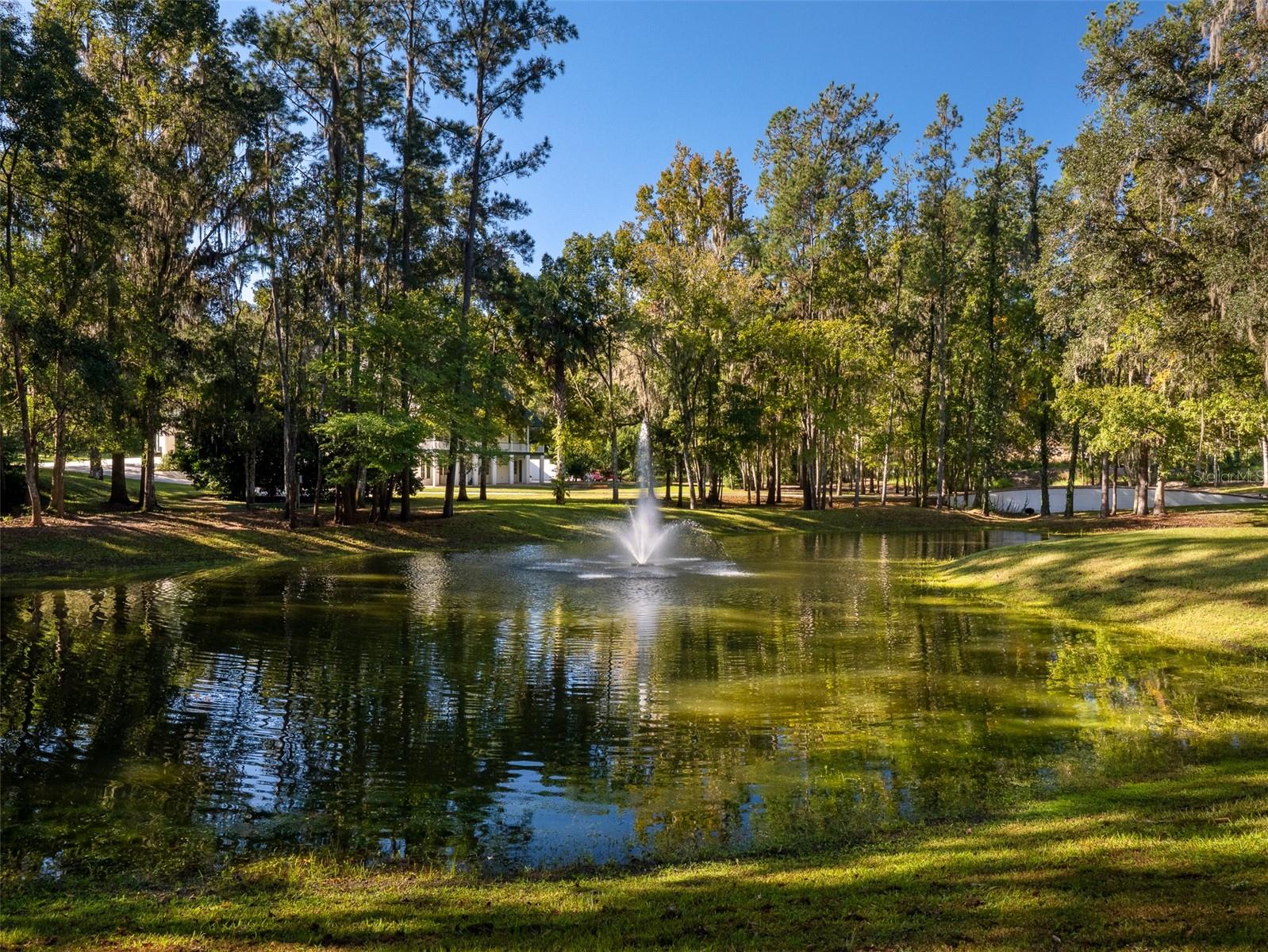 POLO LANE - Residential