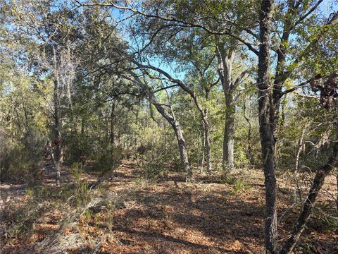 TBD NE 87TH PLACE BRONSON FL 32621