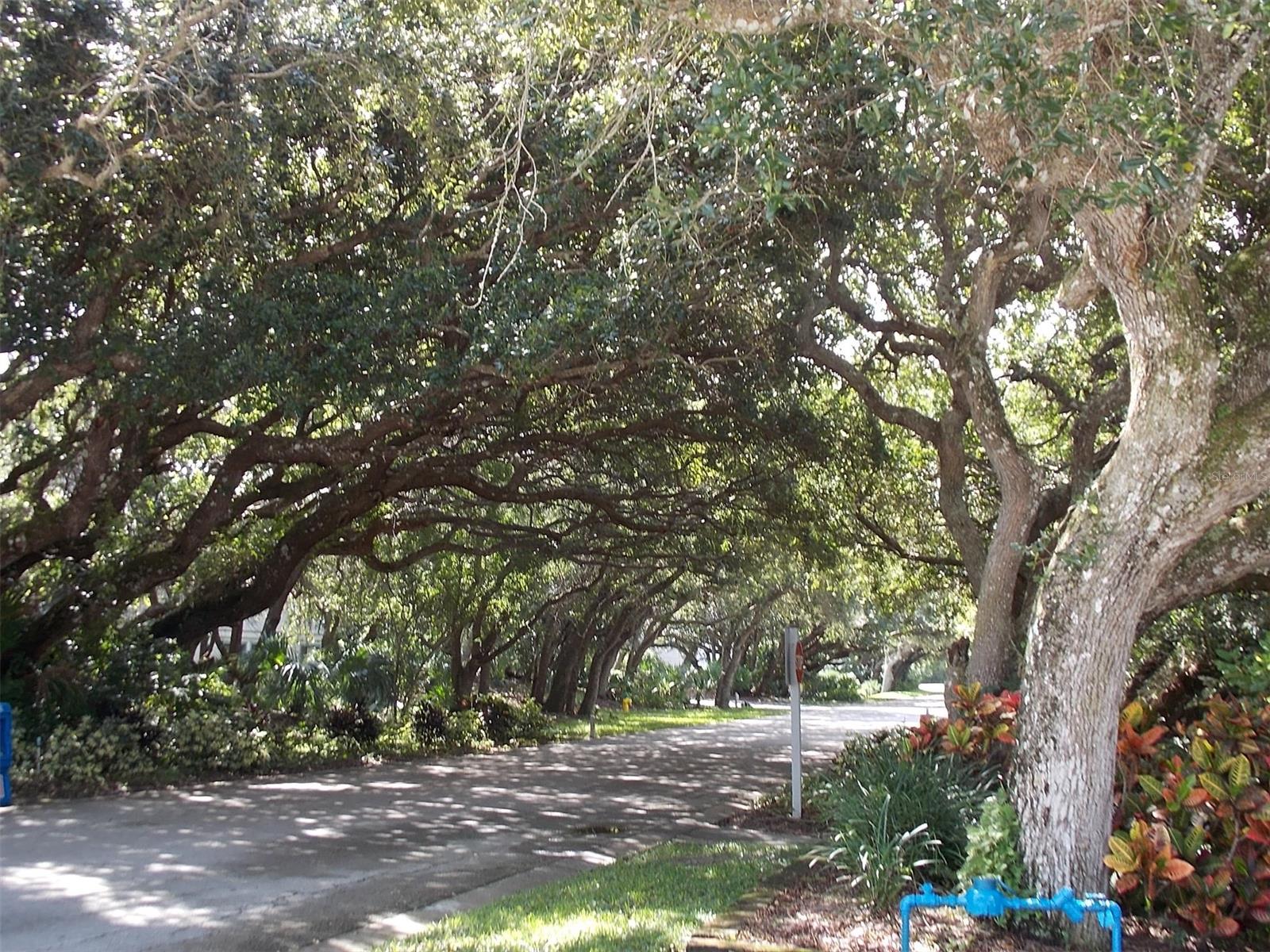 Sea Woods - Residential