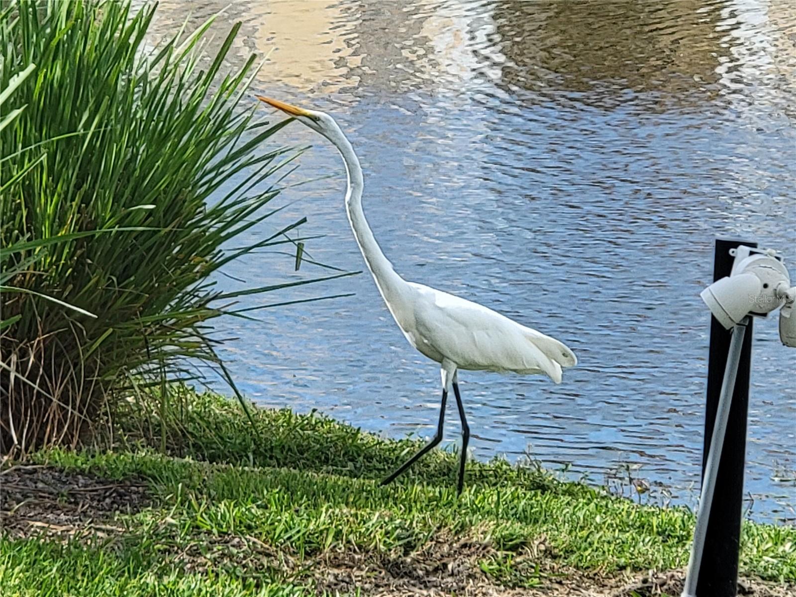 VILLAGIO - Residential