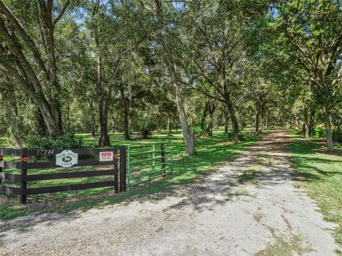 Tiny photo for 17244 SE 130th Avenue, Weirsdale, FL 32195 (MLS # OM710804)
