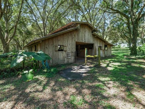 Tiny photo for 17244 SE 130th Avenue, Weirsdale, FL 32195 (MLS # OM710804)